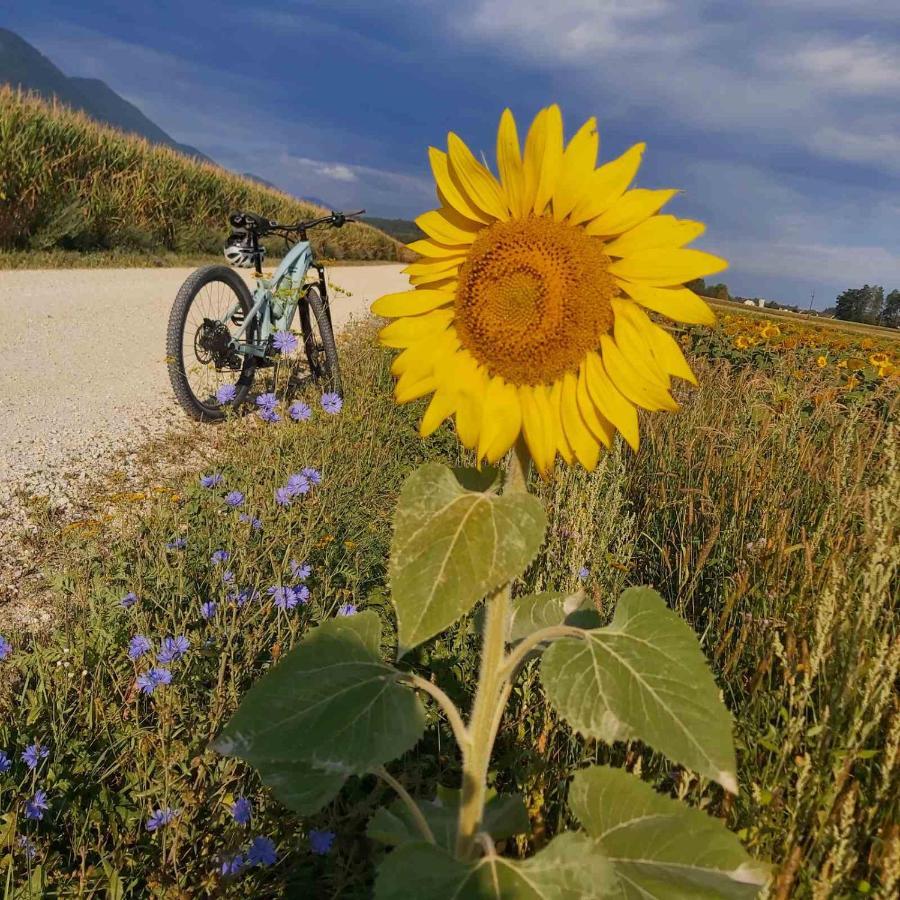 Bikeski Family Hotel, B&B, Apartaments, Rooms Mezica Exterior foto